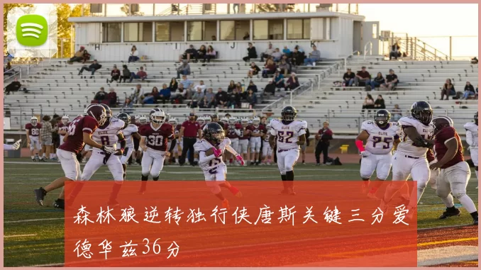 森林狼逆转独行侠唐斯关键三分爱德华兹36分