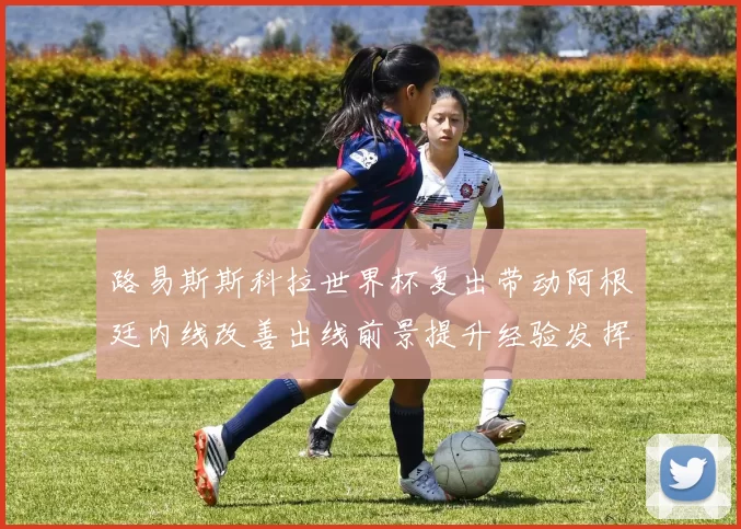 路易斯斯科拉世界杯复出带动阿根廷内线改善出线前景提升经验发挥关键作用