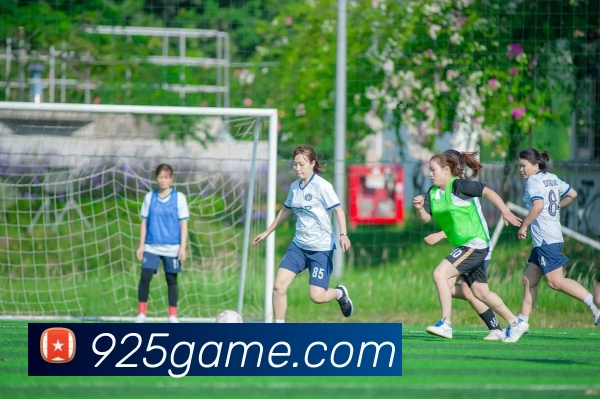 多媒体互动体验